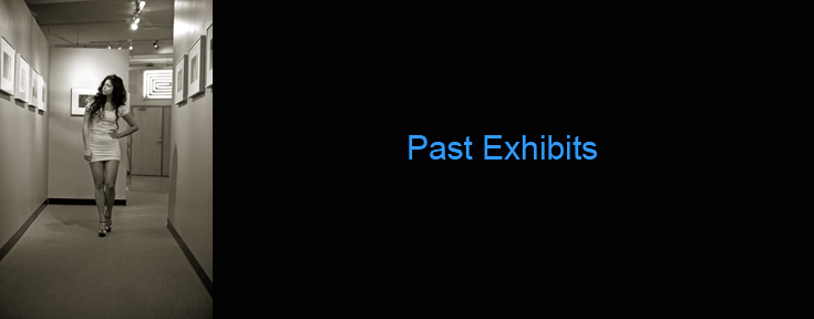 Past Exhibits